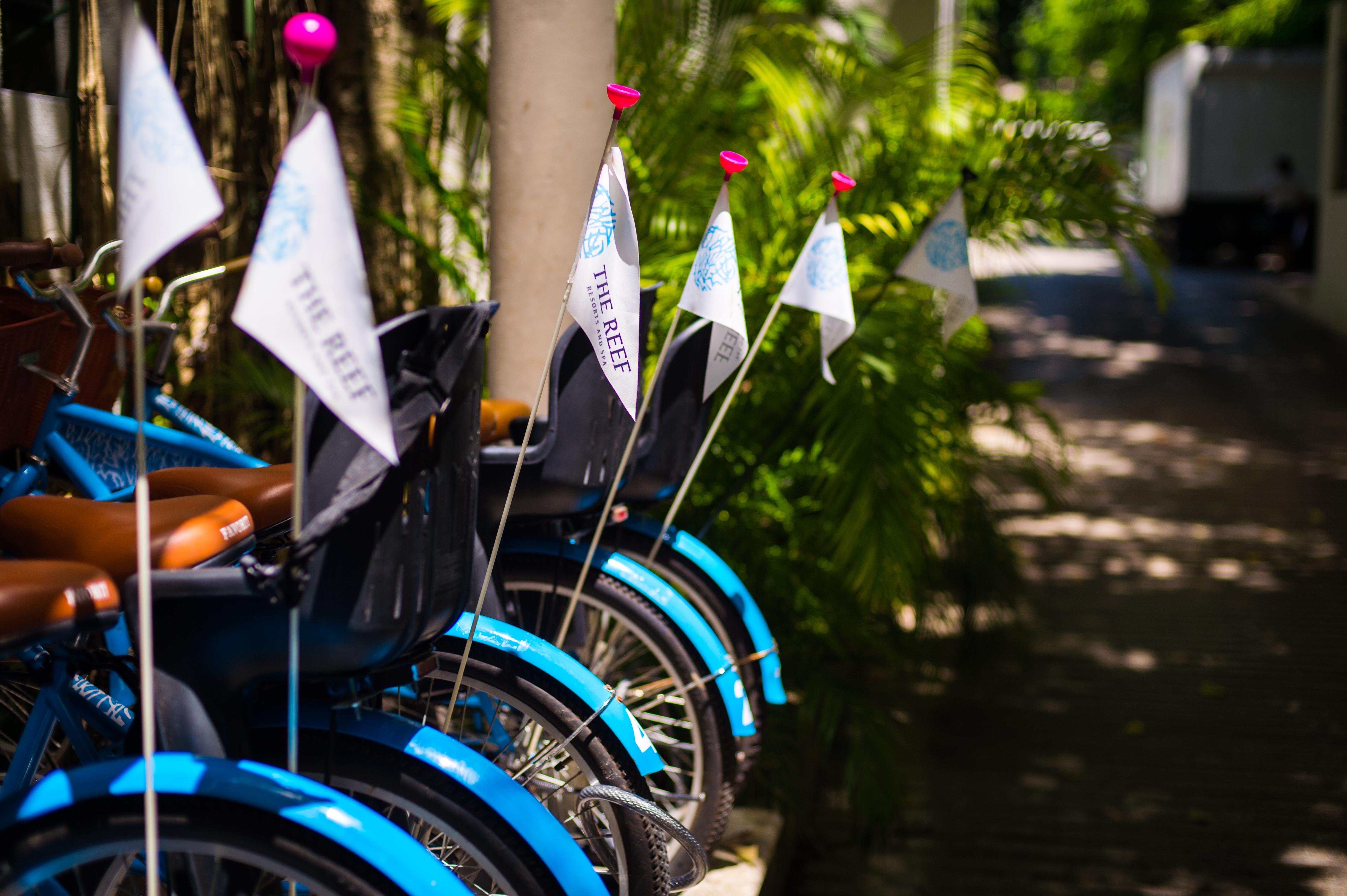The Reef Playacar Beach Resort & Spa Playa del Carmen Esterno foto
