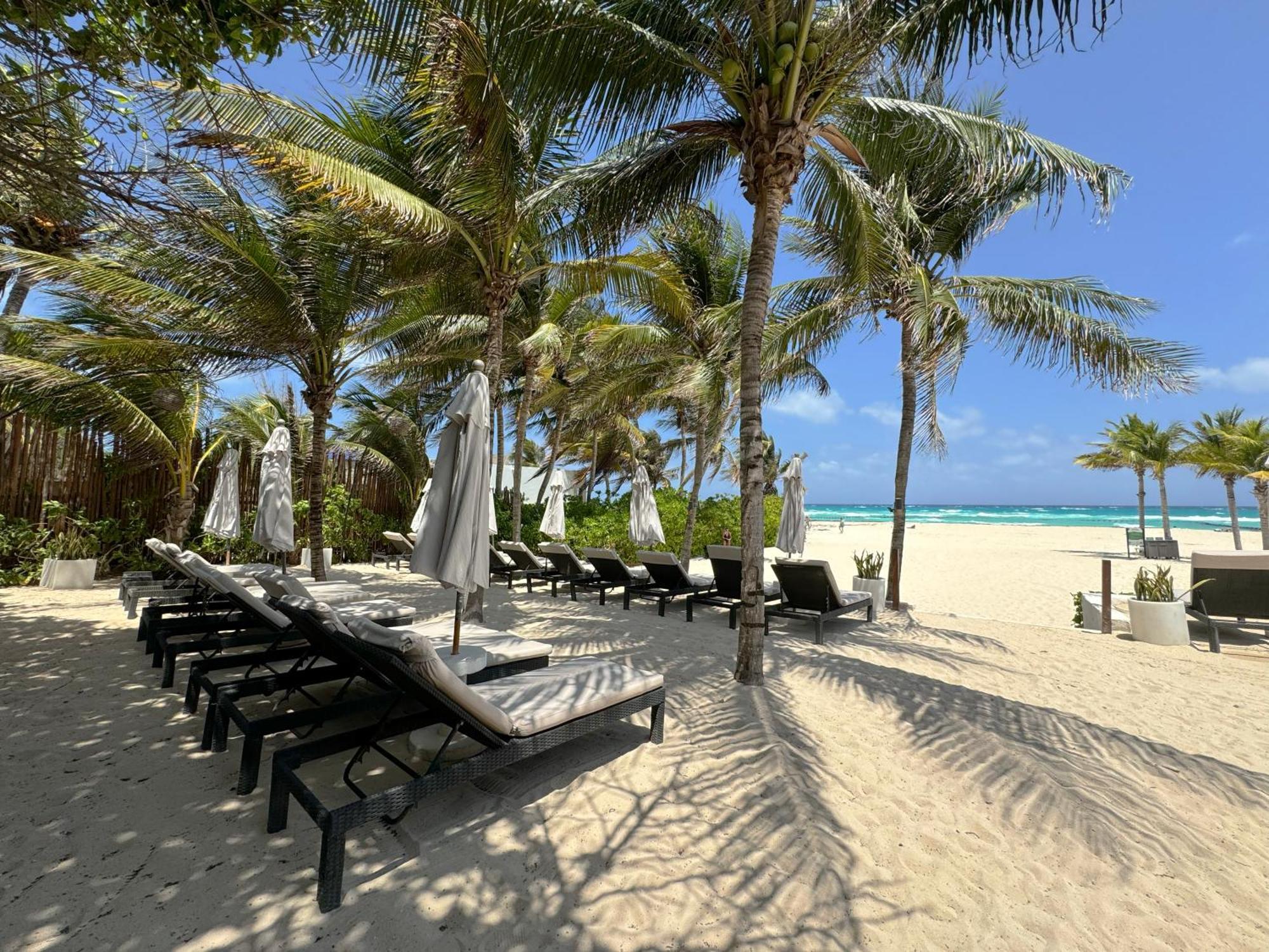The Reef Playacar Beach Resort & Spa Playa del Carmen Esterno foto